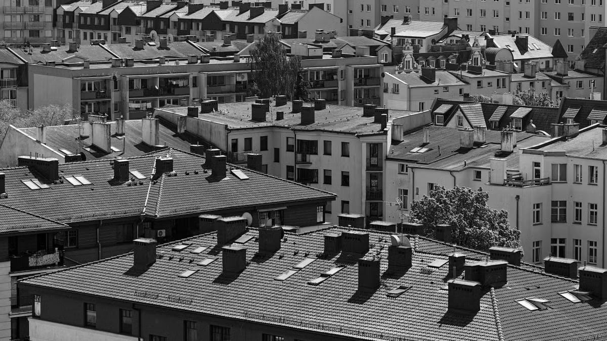 Black and white aerial view of urban rooftops showcasing intricate architectural details.